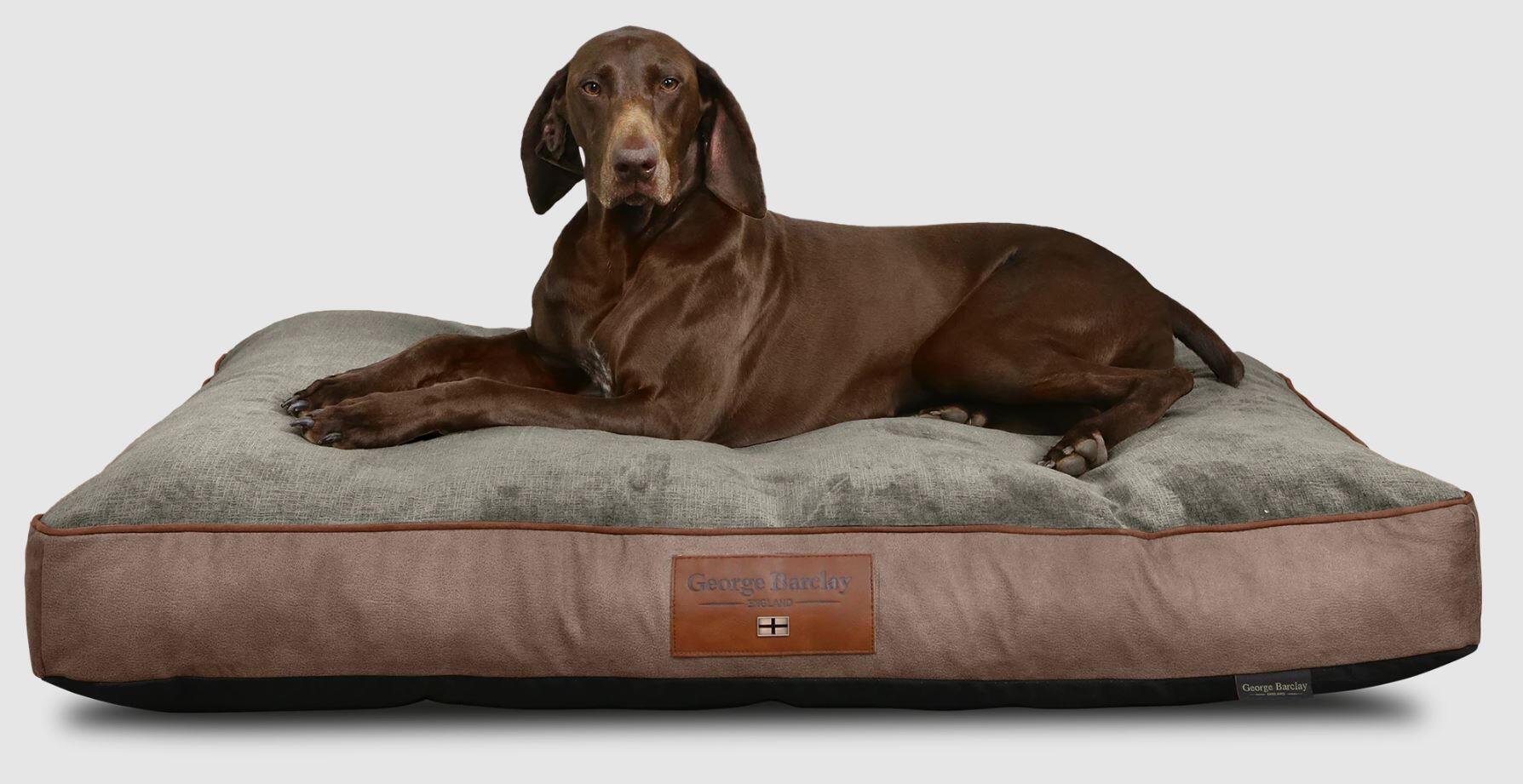 Dog Bed