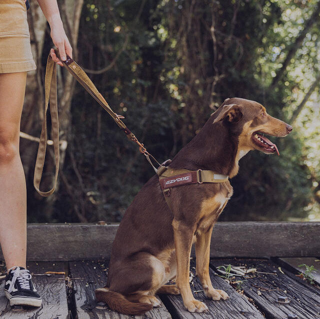 Corduroy Dog Harness