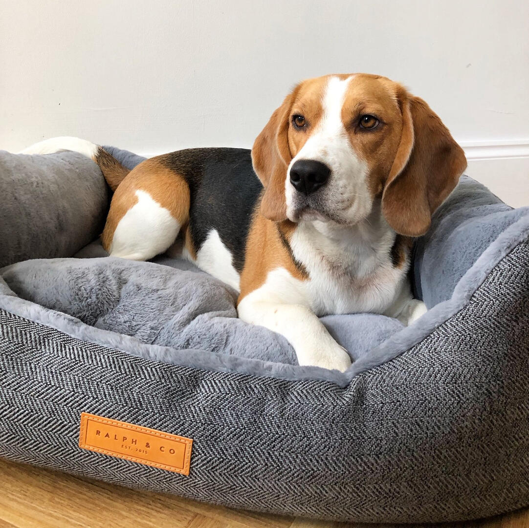 Herringbone Dog Bed
