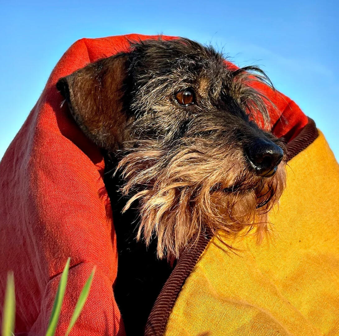 Lish London - Padbury Linen Saffron Orange & Turmeric Yellow Luxury Quilted Reversible Dog Blanket