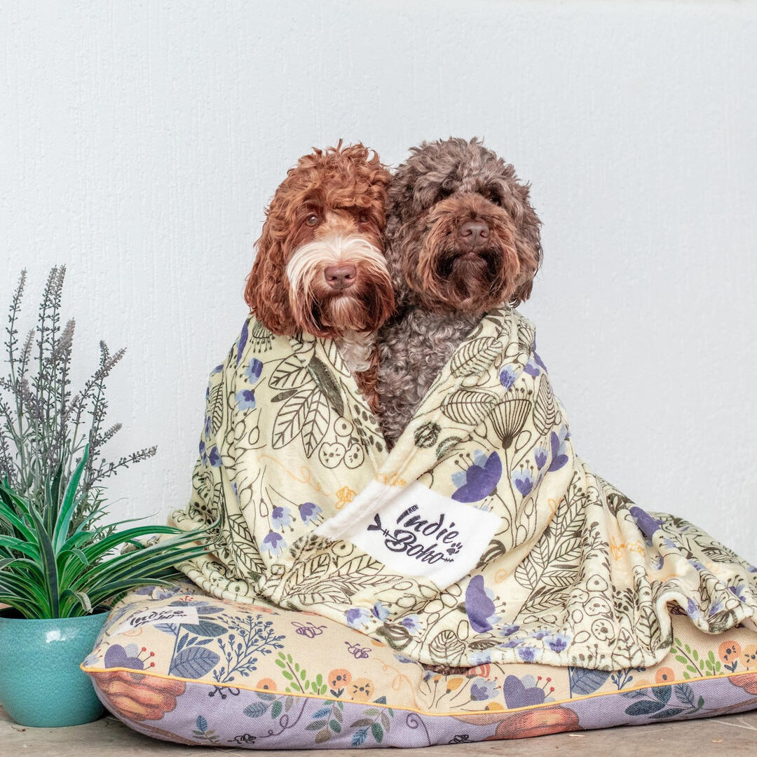 Indie Boho - Blooming Bees Designer Pet Blanket