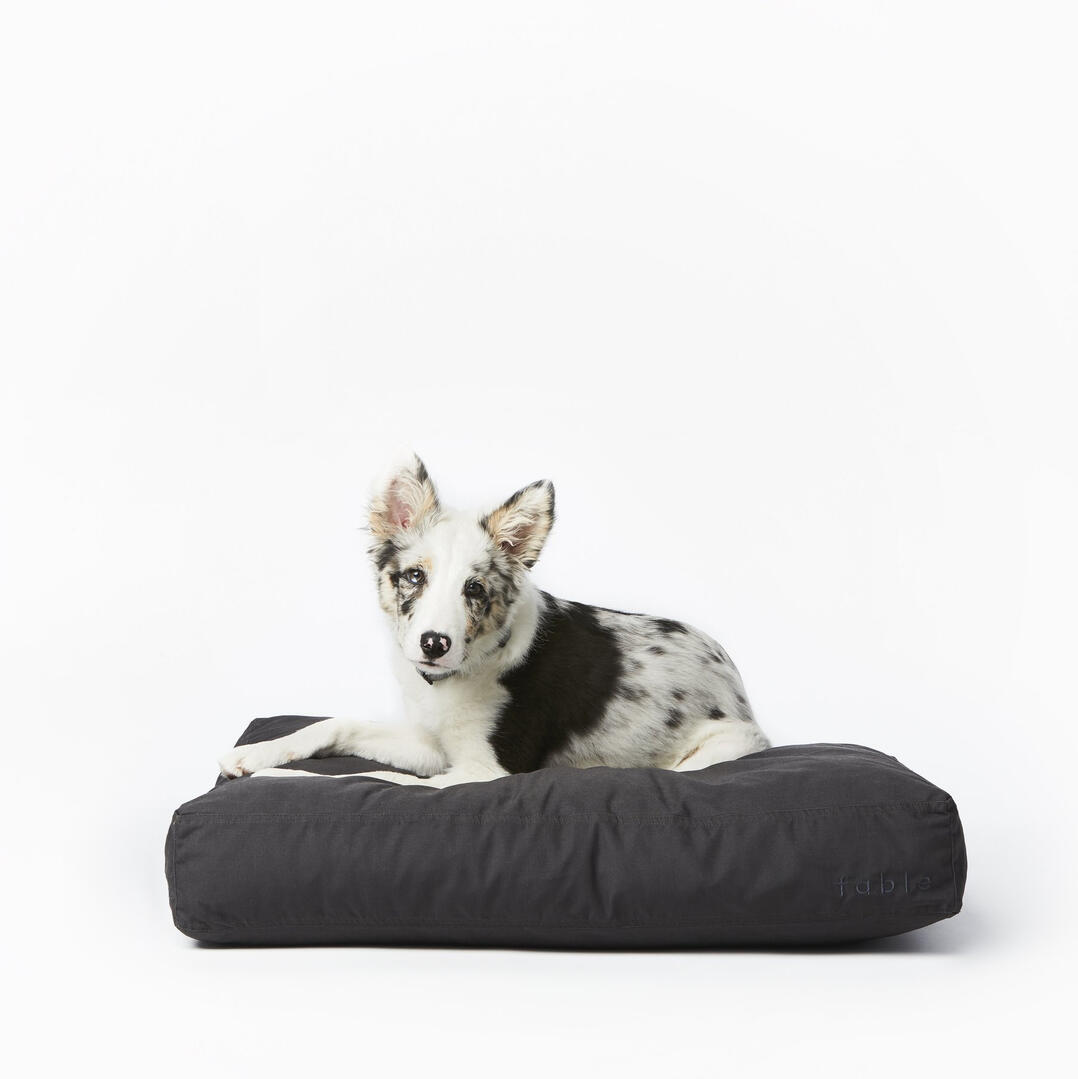 Crushed Memory Foam Dog Bed