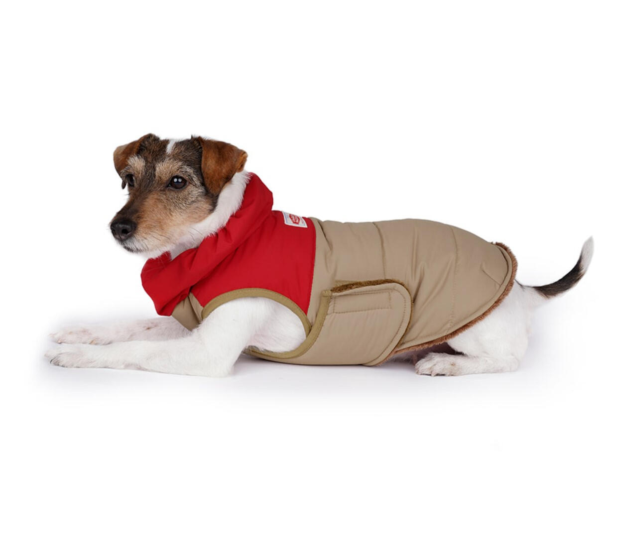 Charlie's Backyard - Turtle Jacket