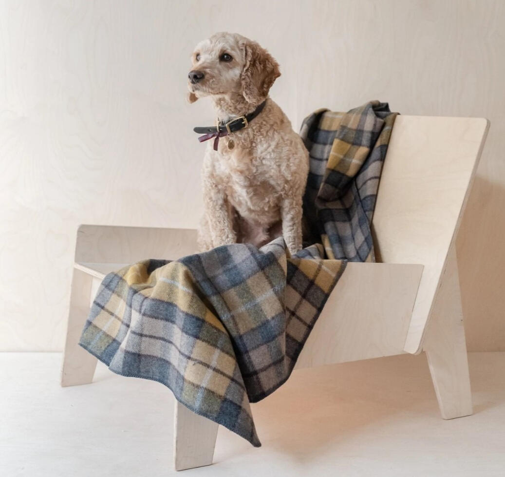 The Tartan Blanket Co.
