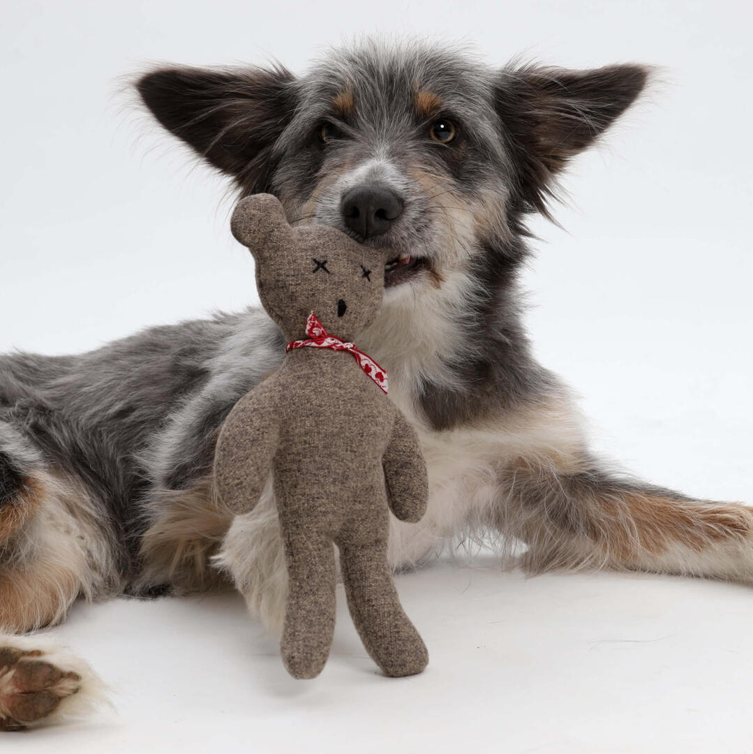 Dogs in the City - Plush Teddy Charly Grey