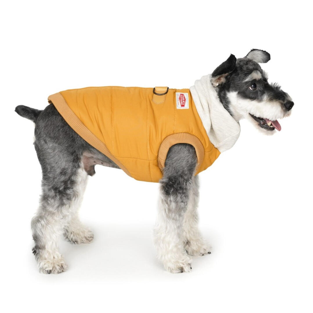 Charlie's Backyard - Warm Up Harness Jacket