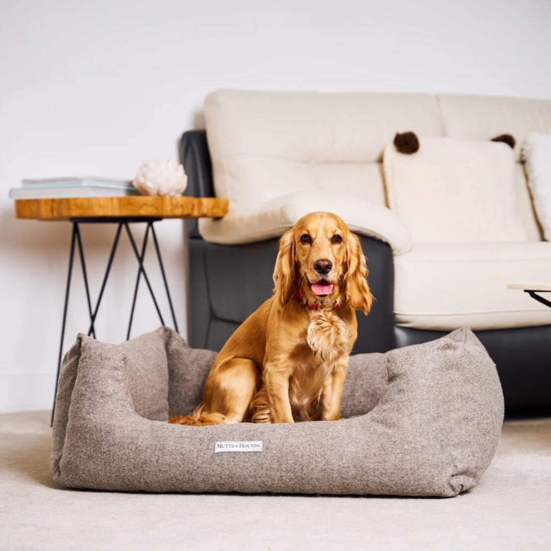 Mutts and Hounds - Grey Tweed Boxy Dog Bed
