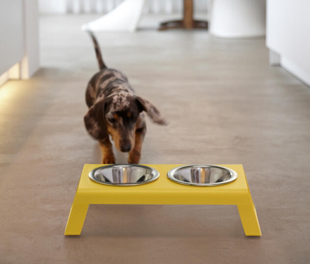 MiaCara Desco Dog Bowl