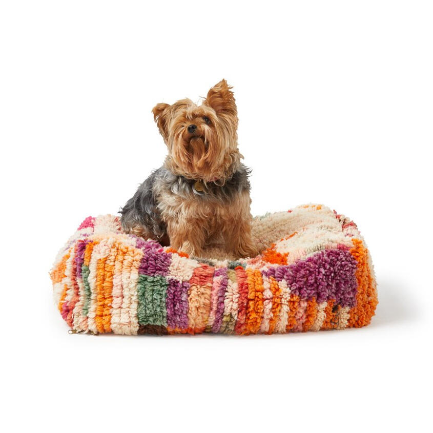 Sebastian Says Boujad Dog Bed