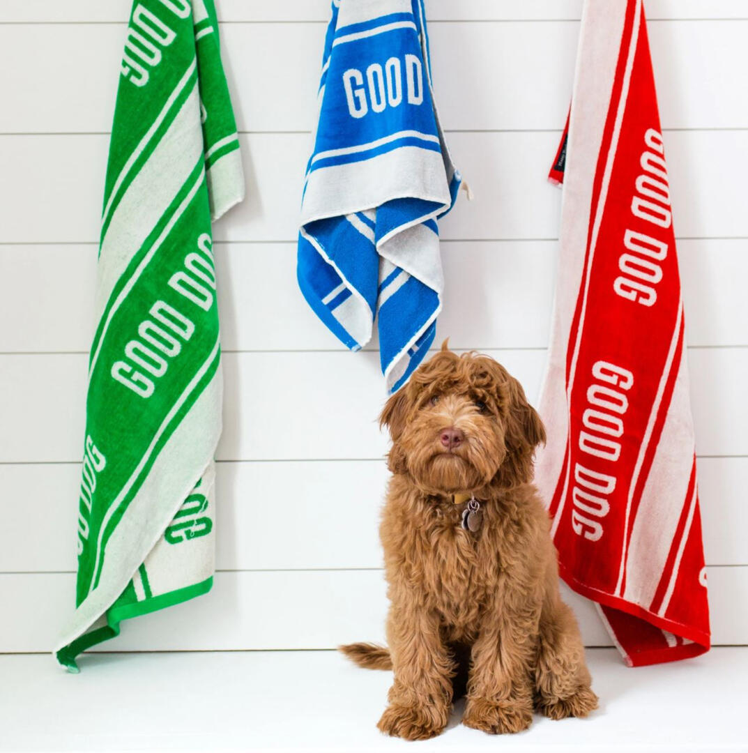 Harry Barker - Good Dog Eco Towel