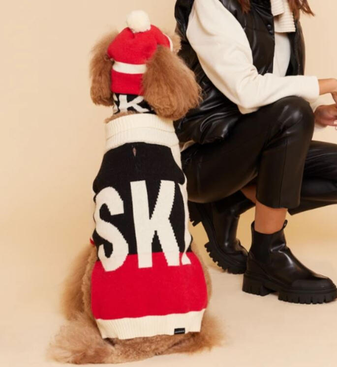 Max Bone - Ski Raglan Sleeve Jumper